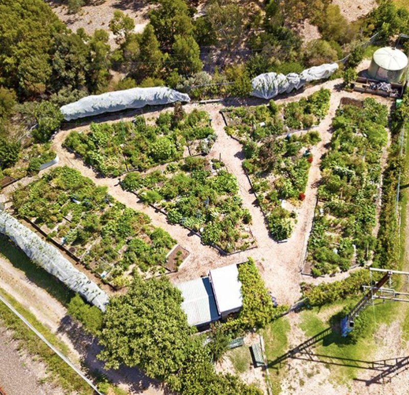 20世纪70年代废弃地改造花园